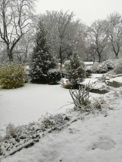 Gallery Alexandra Nursing Home