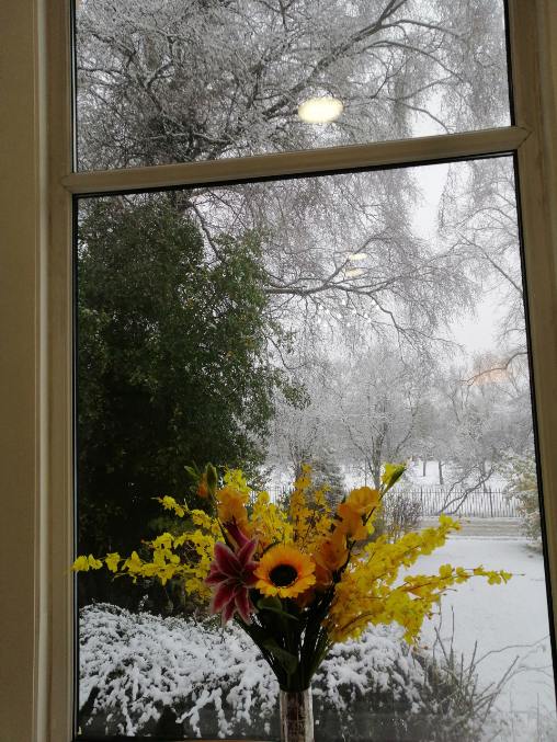 Gallery Alexandra Nursing Home